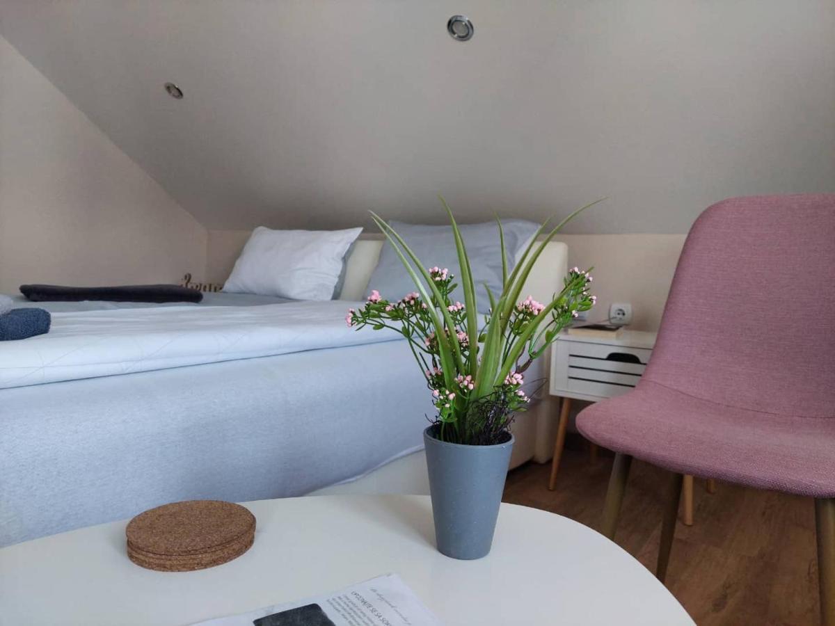 M Apartments Soko Banja Εξωτερικό φωτογραφία